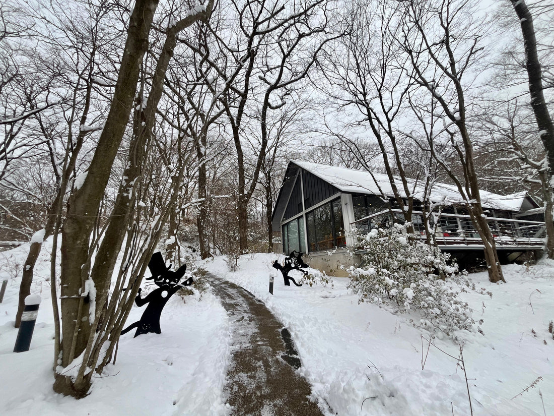 雪が降りました⛄