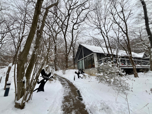 雪が降りました⛄