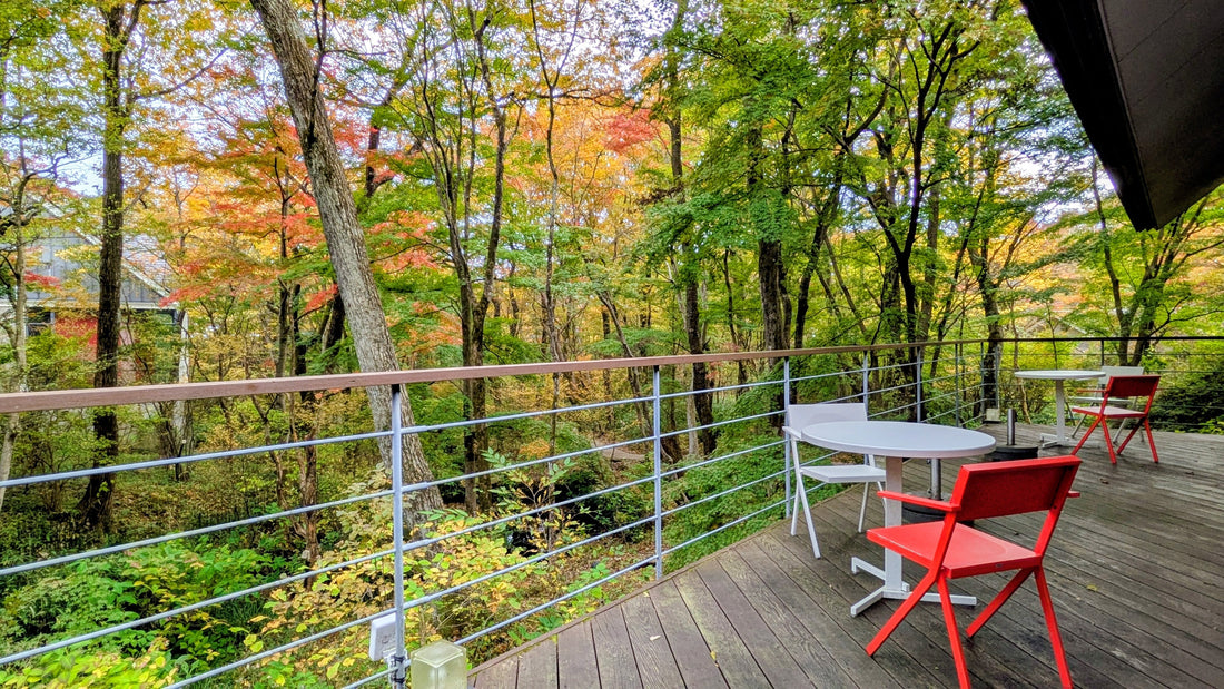 紅葉の季節です🍁