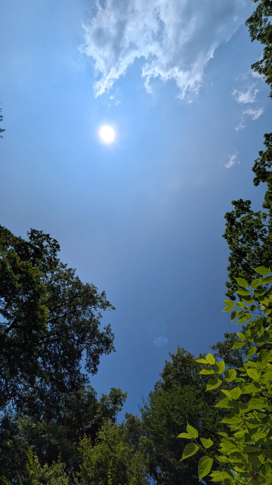夏になりました🔆